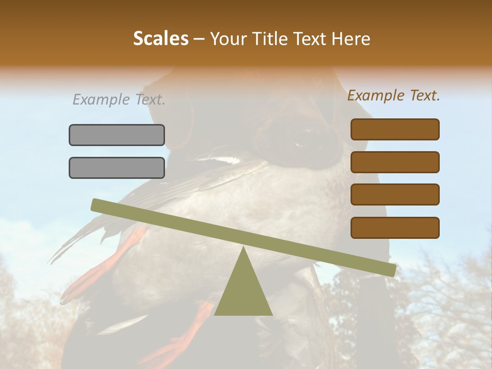 Rent Residential Conceptual PowerPoint Template