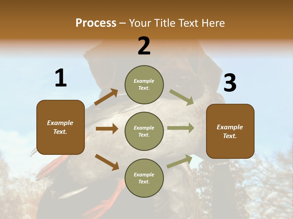 Rent Residential Conceptual PowerPoint Template