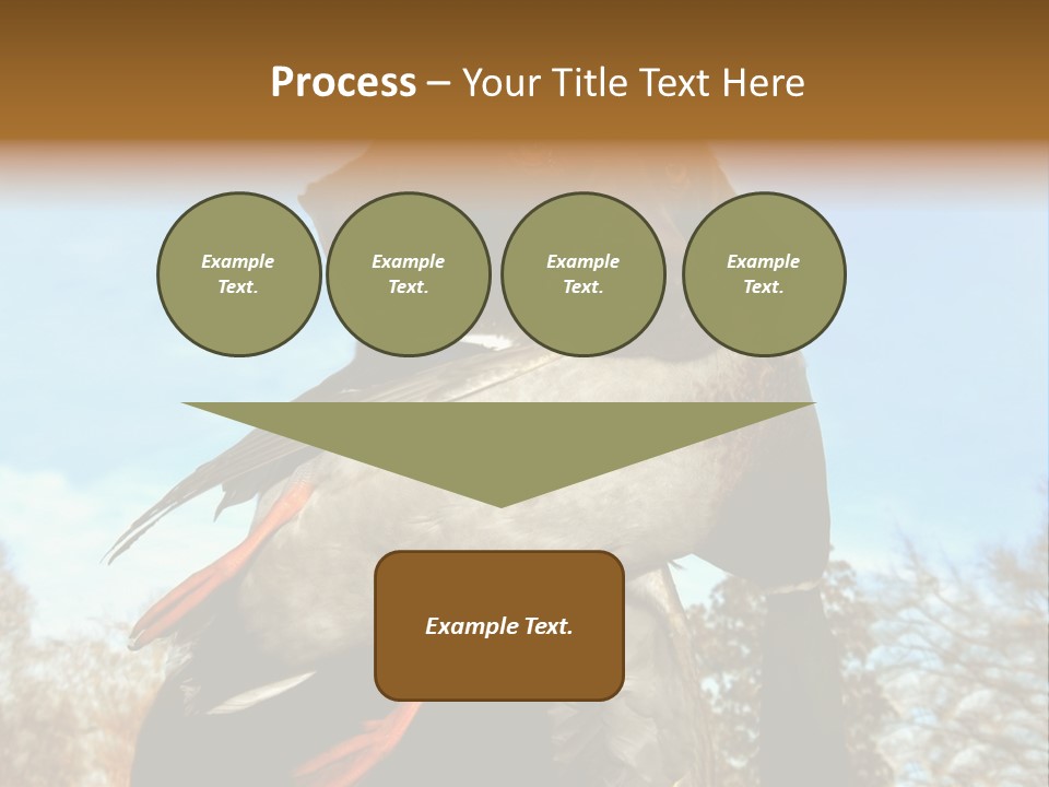 Rent Residential Conceptual PowerPoint Template