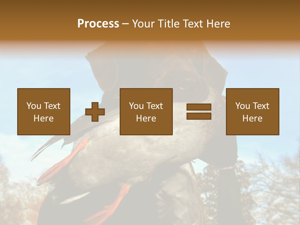 Rent Residential Conceptual PowerPoint Template