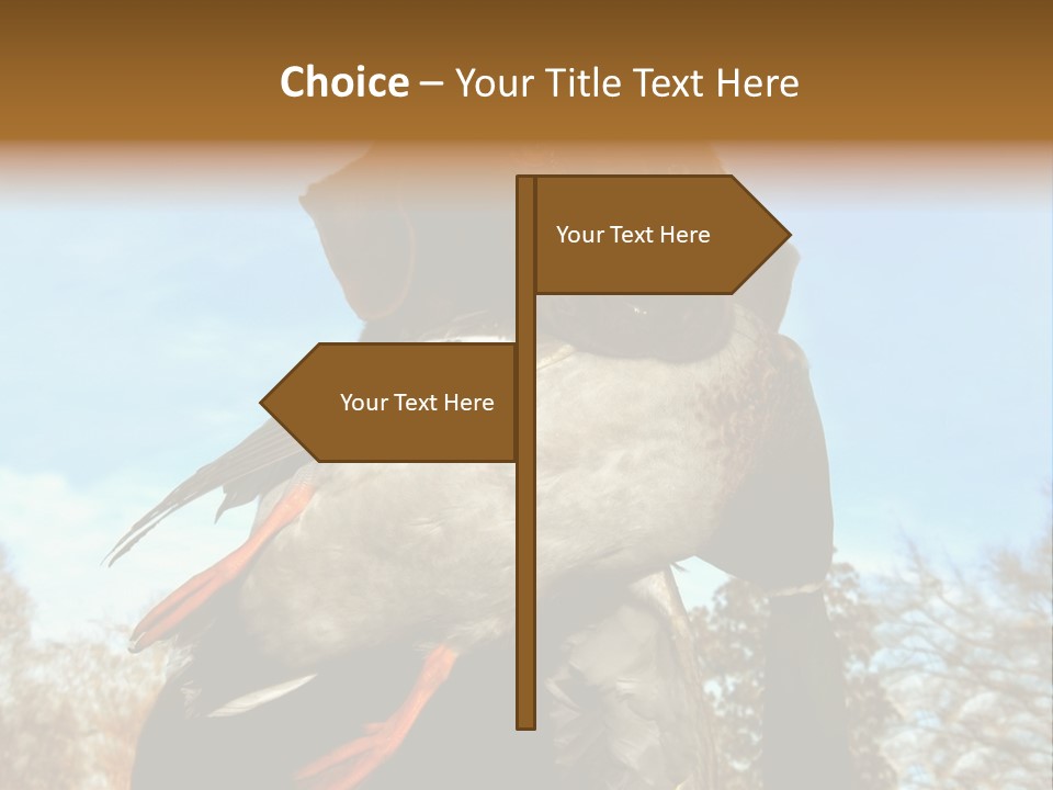 Rent Residential Conceptual PowerPoint Template