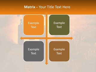 Ownership House Selling PowerPoint Template