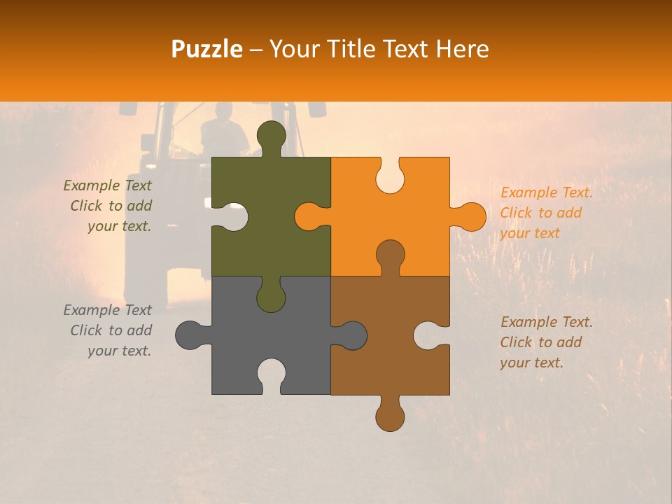 Ownership House Selling PowerPoint Template