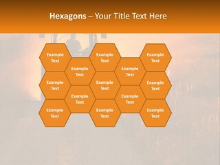Ownership House Selling PowerPoint Template