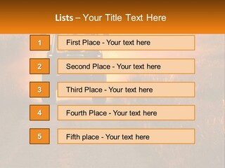 Ownership House Selling PowerPoint Template