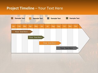 Ownership House Selling PowerPoint Template