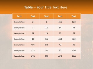 Ownership House Selling PowerPoint Template