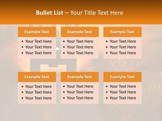 Ownership House Selling PowerPoint Template