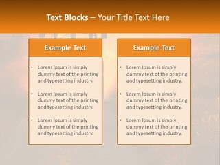 Ownership House Selling PowerPoint Template