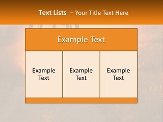 Ownership House Selling PowerPoint Template