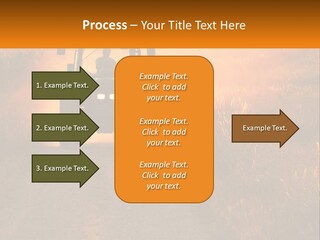 Ownership House Selling PowerPoint Template