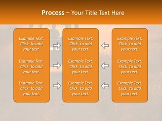 Ownership House Selling PowerPoint Template