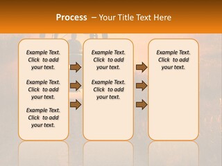 Ownership House Selling PowerPoint Template