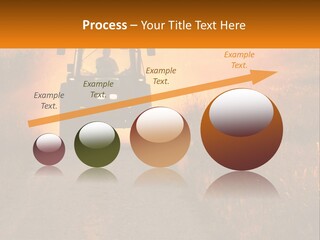 Ownership House Selling PowerPoint Template