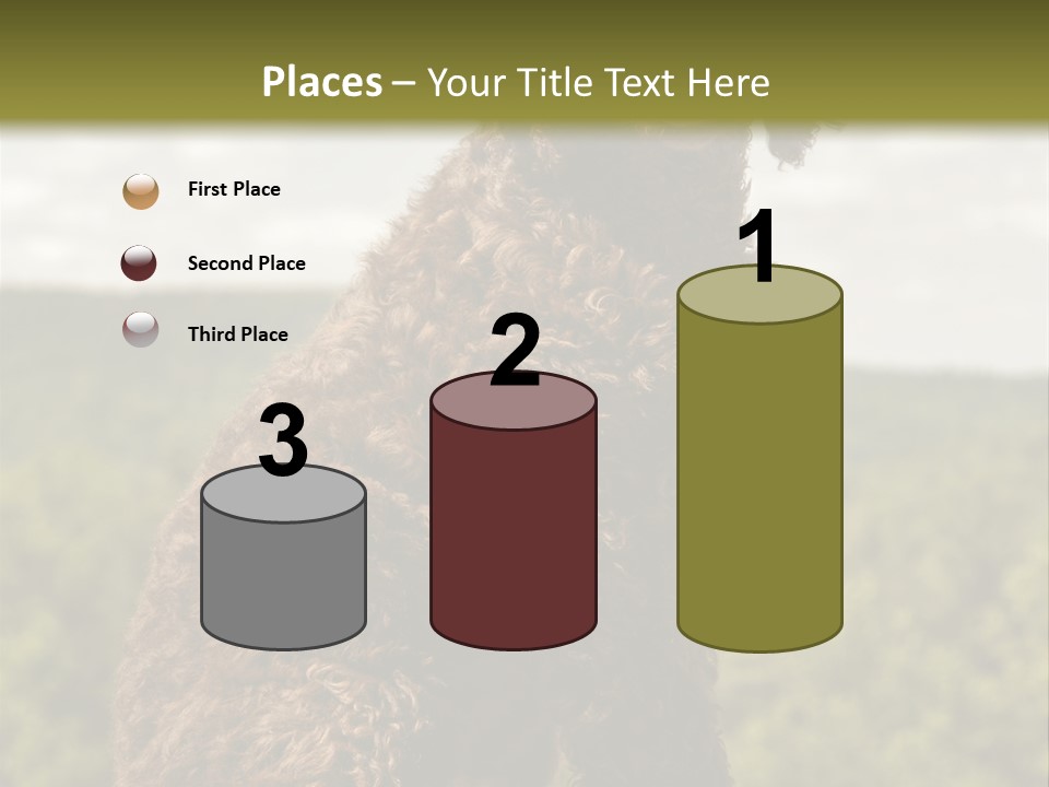 Model Park Grass PowerPoint Template