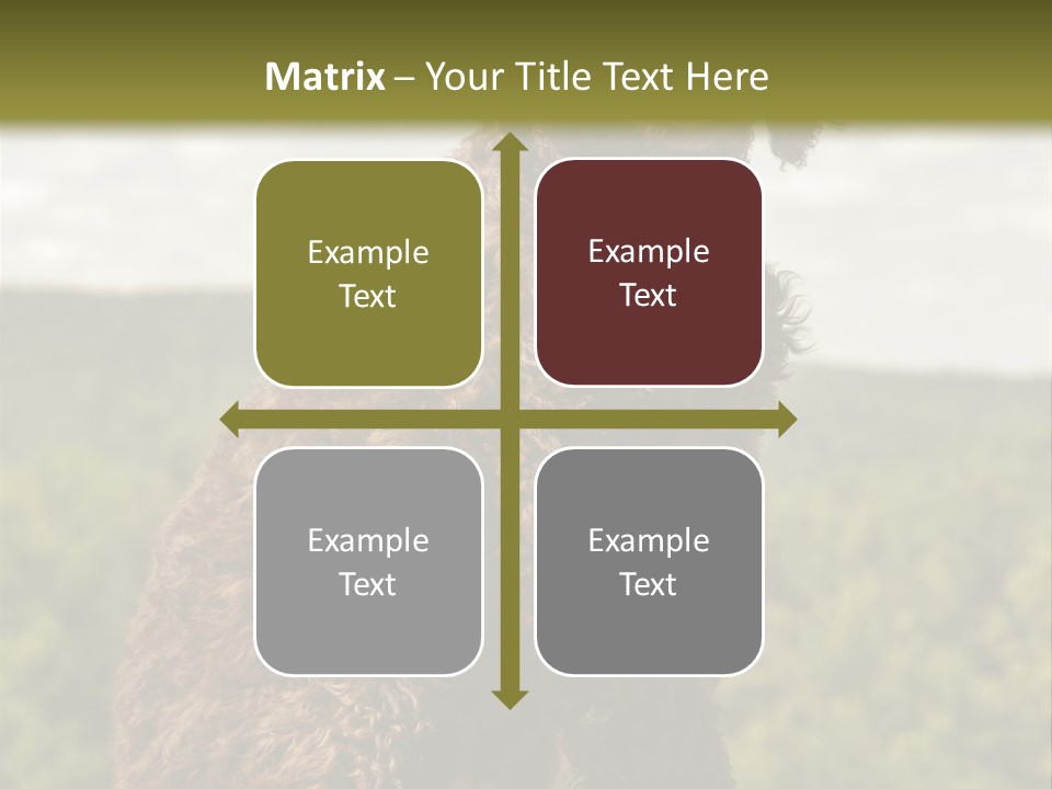 Model Park Grass PowerPoint Template