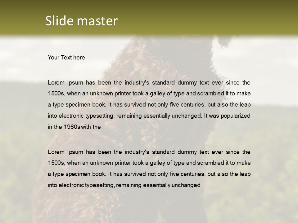 Model Park Grass PowerPoint Template