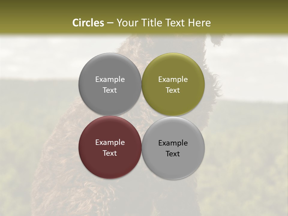 Model Park Grass PowerPoint Template