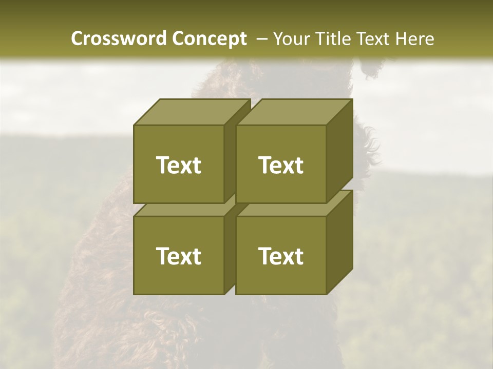 Model Park Grass PowerPoint Template