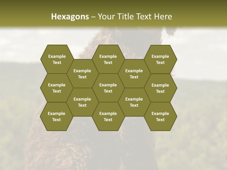 Model Park Grass PowerPoint Template