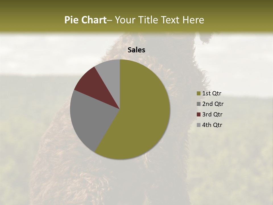 Model Park Grass PowerPoint Template