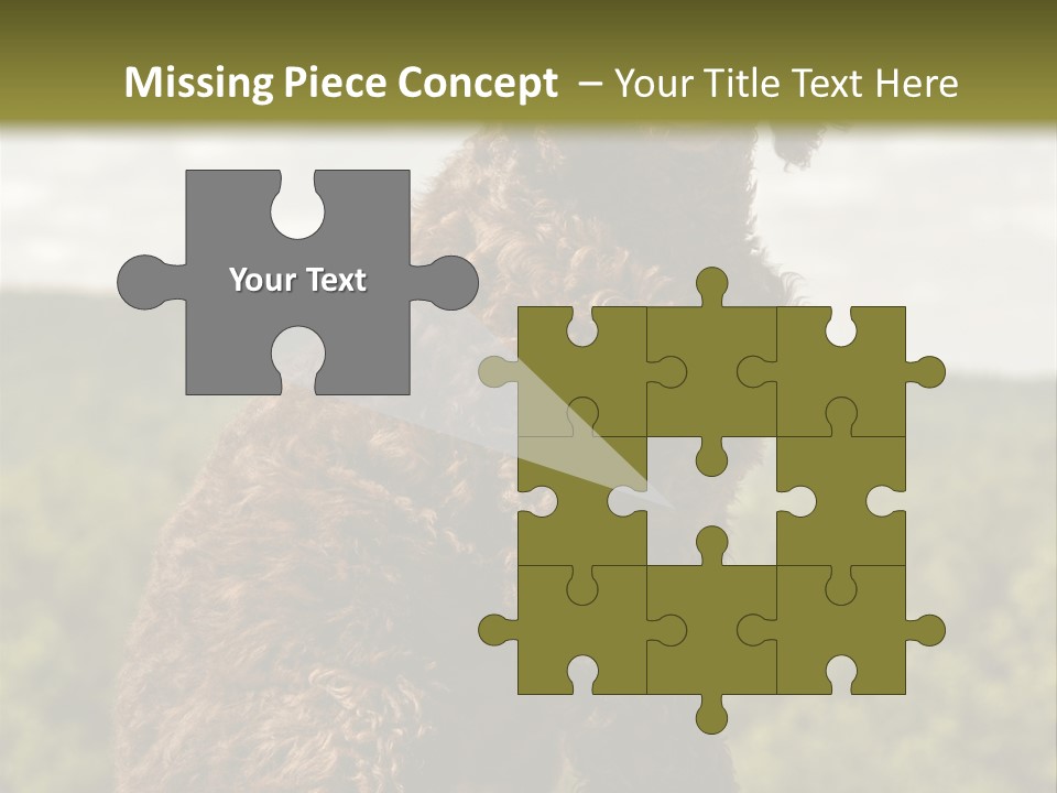 Model Park Grass PowerPoint Template