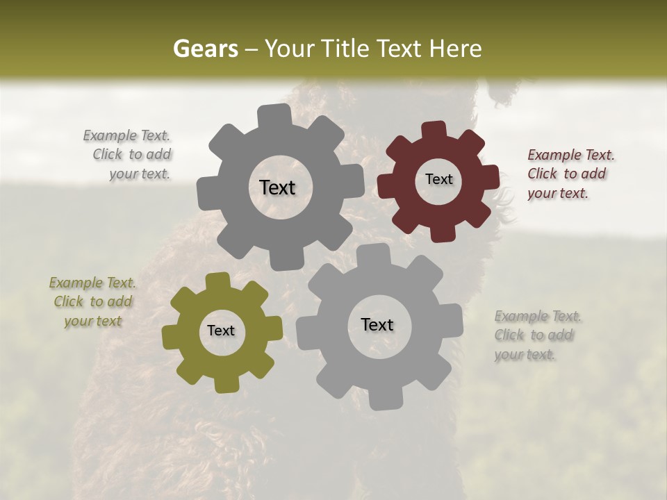 Model Park Grass PowerPoint Template