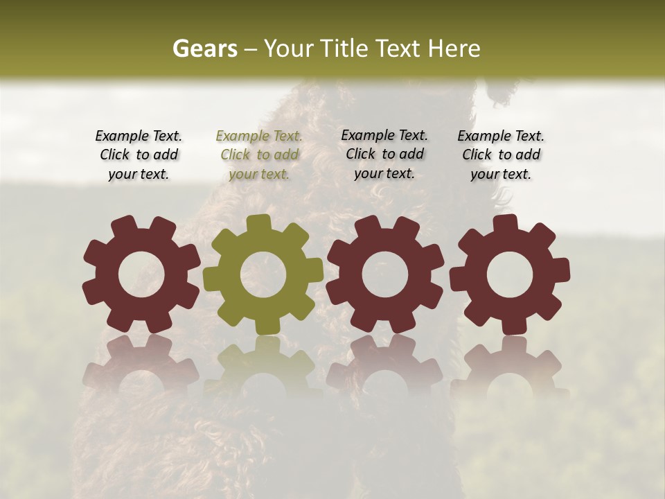 Model Park Grass PowerPoint Template