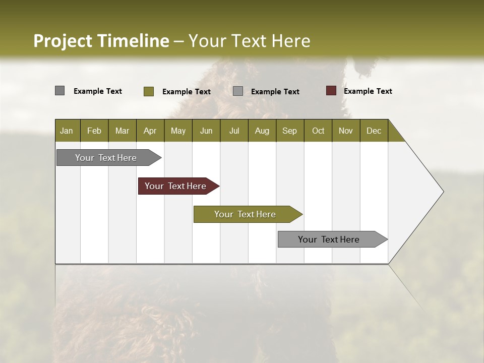 Model Park Grass PowerPoint Template