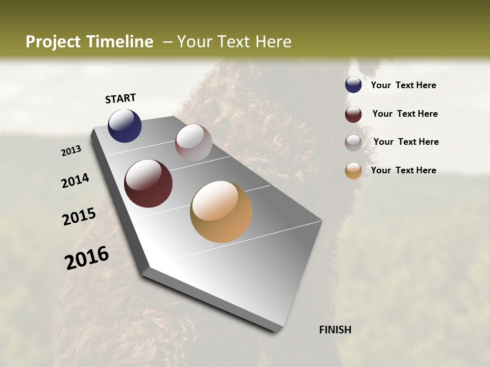 Model Park Grass PowerPoint Template