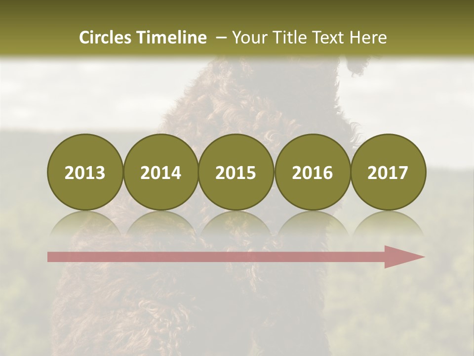 Model Park Grass PowerPoint Template