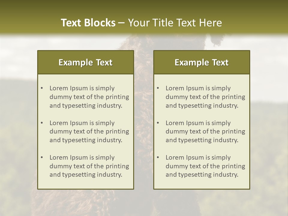 Model Park Grass PowerPoint Template