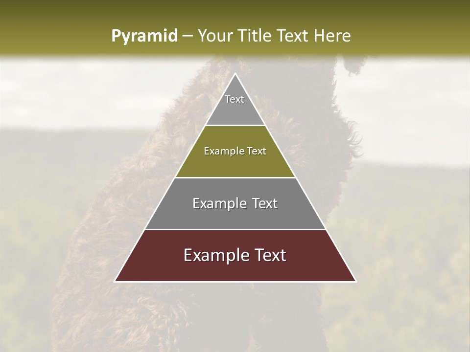 Model Park Grass PowerPoint Template