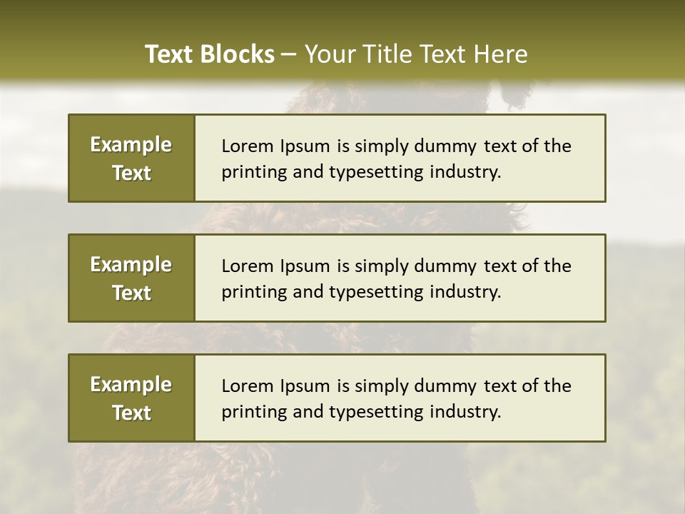Model Park Grass PowerPoint Template