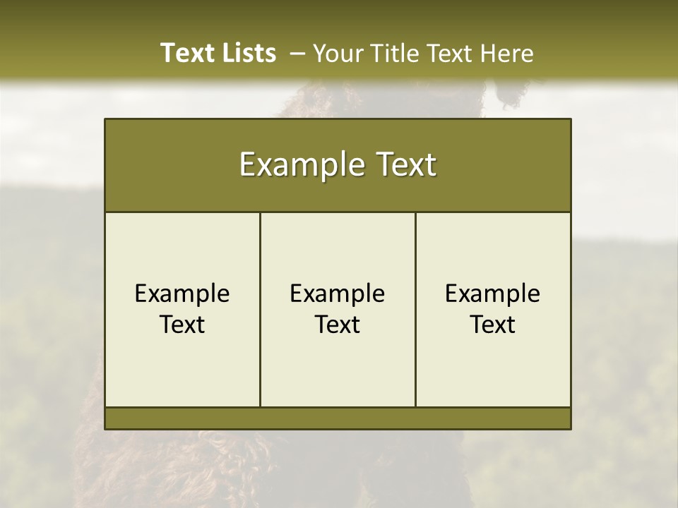 Model Park Grass PowerPoint Template