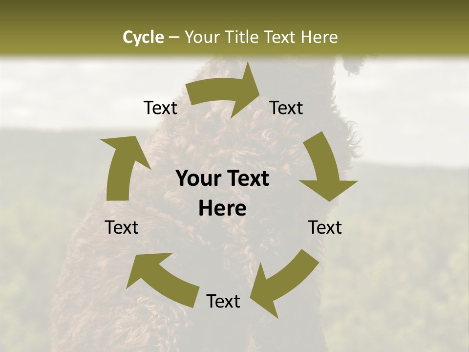 Model Park Grass PowerPoint Template