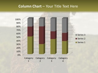 Model Park Grass PowerPoint Template