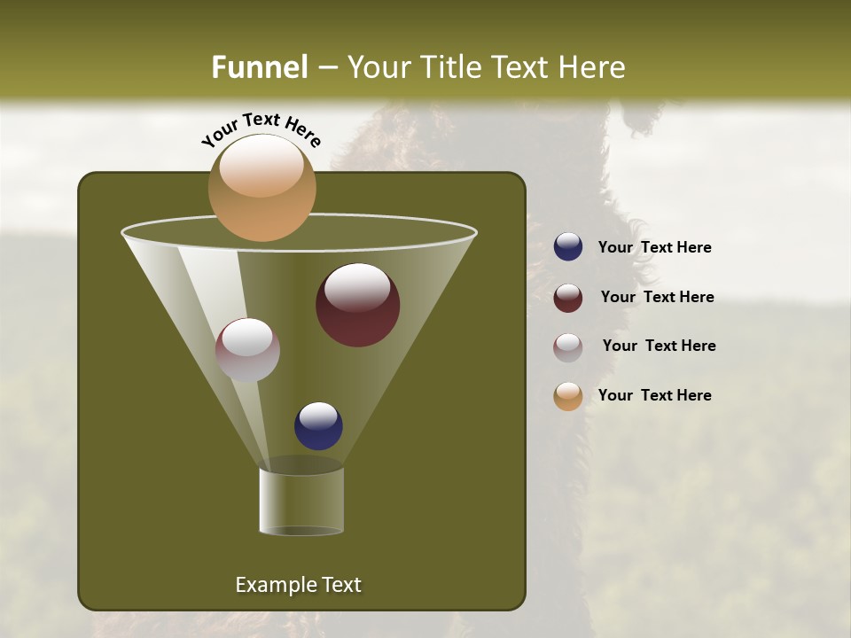 Model Park Grass PowerPoint Template