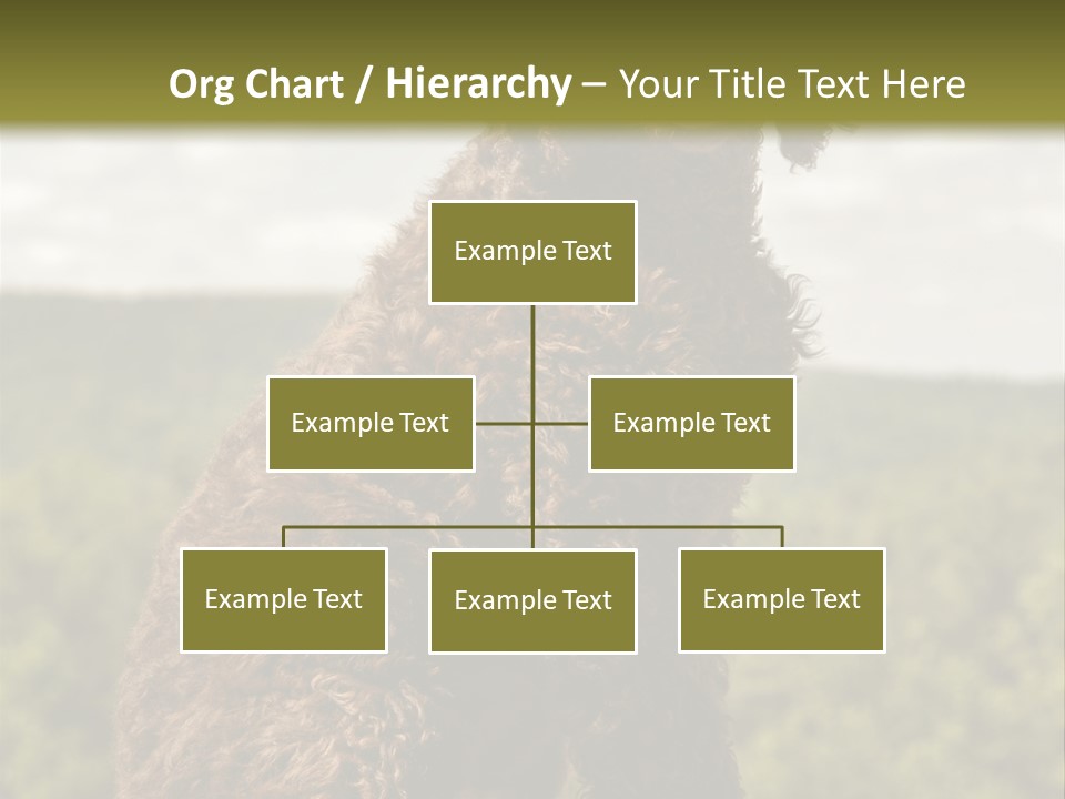 Model Park Grass PowerPoint Template