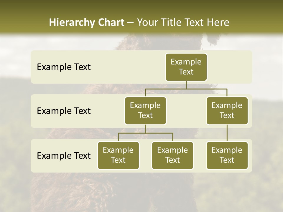 Model Park Grass PowerPoint Template