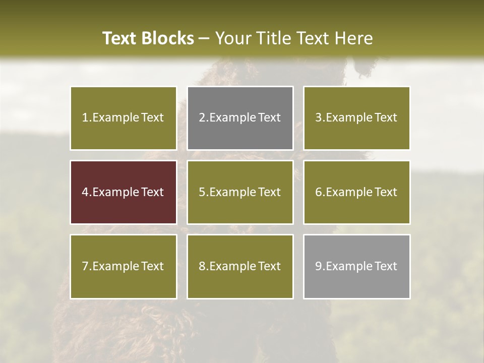 Model Park Grass PowerPoint Template