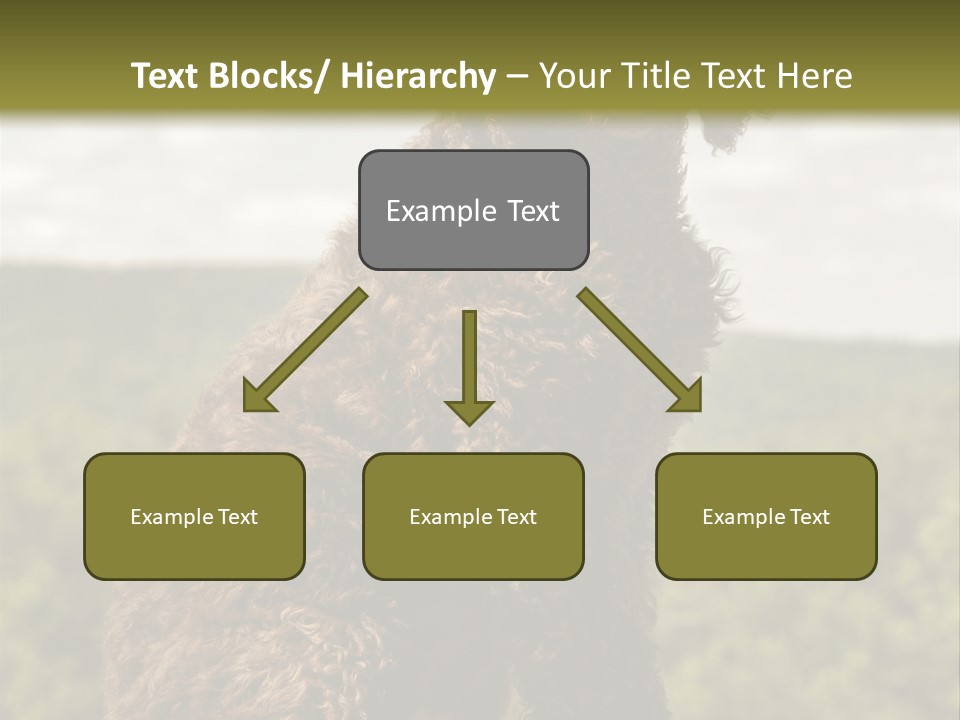 Model Park Grass PowerPoint Template