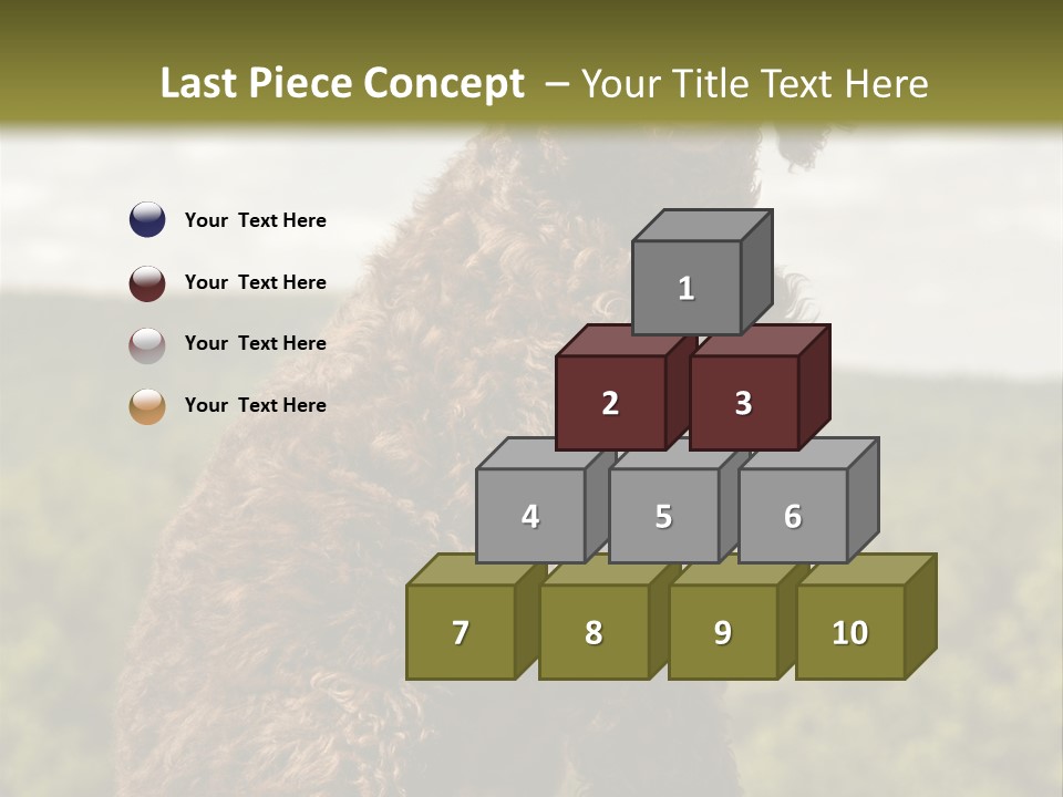 Model Park Grass PowerPoint Template