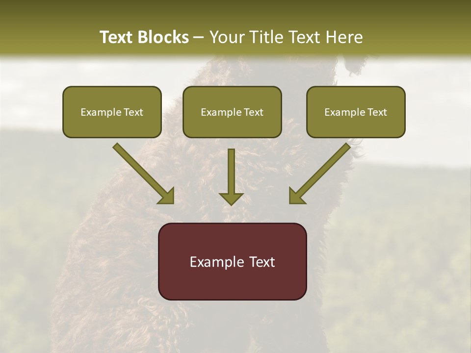 Model Park Grass PowerPoint Template