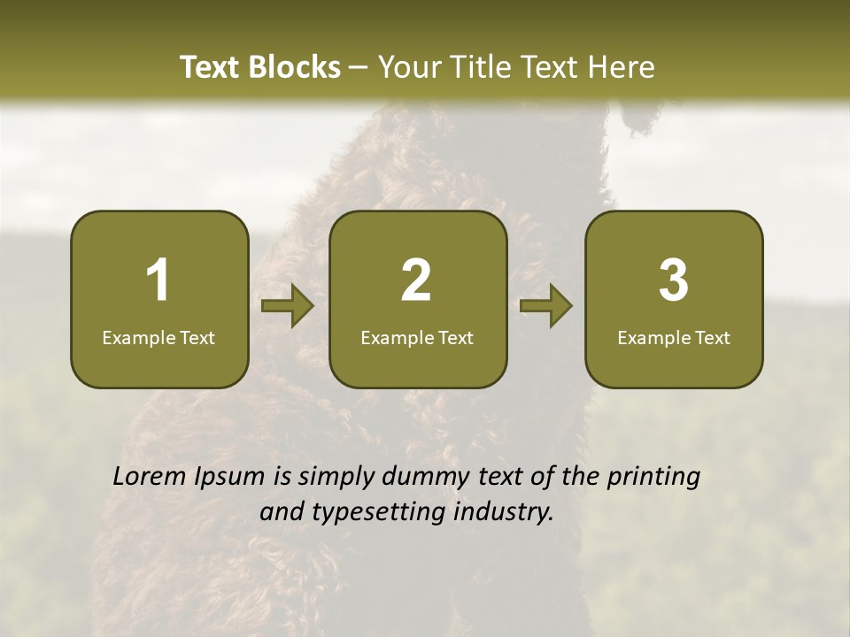 Model Park Grass PowerPoint Template