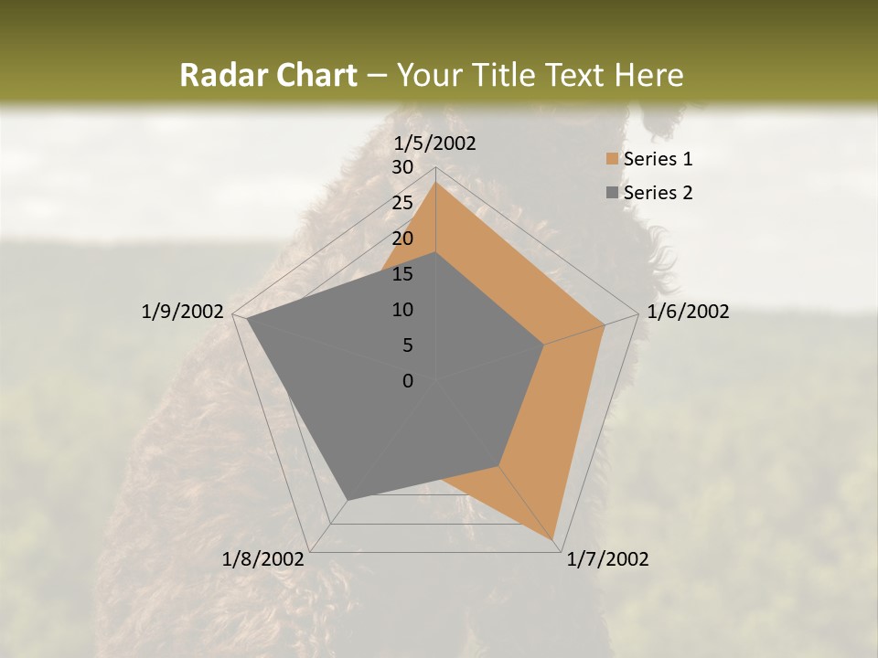 Model Park Grass PowerPoint Template