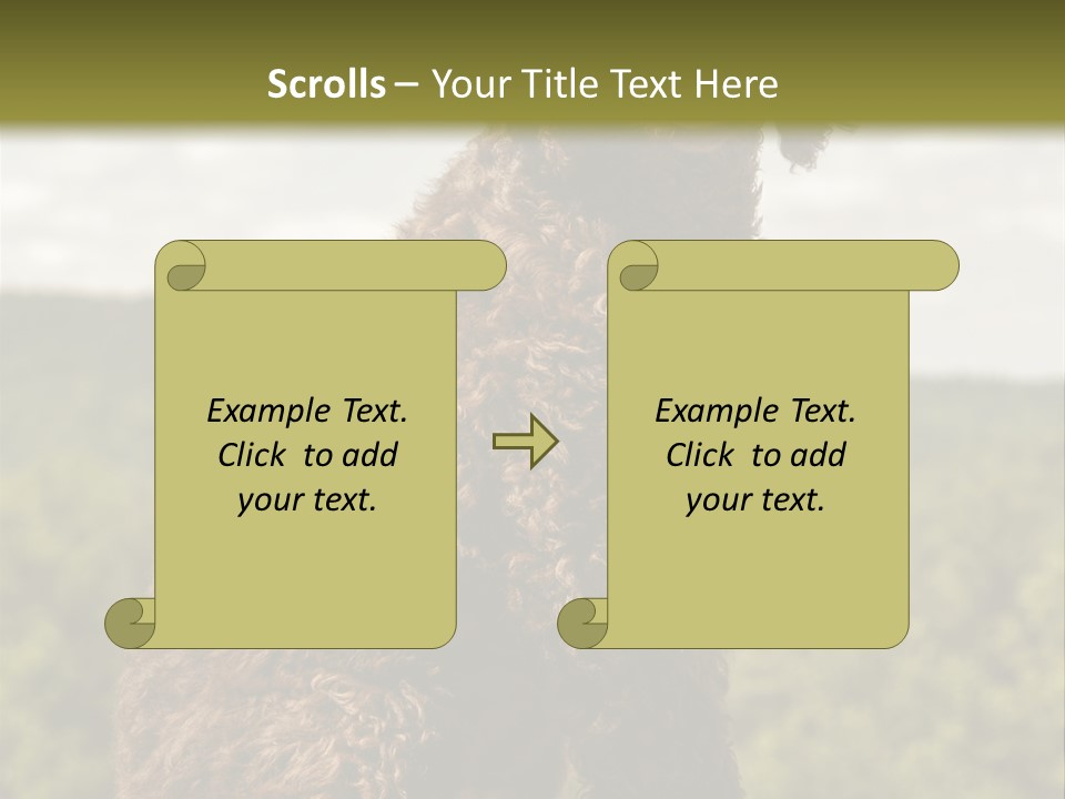 Model Park Grass PowerPoint Template