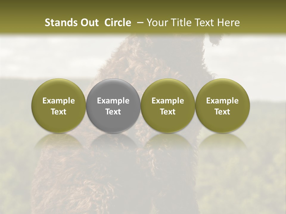 Model Park Grass PowerPoint Template