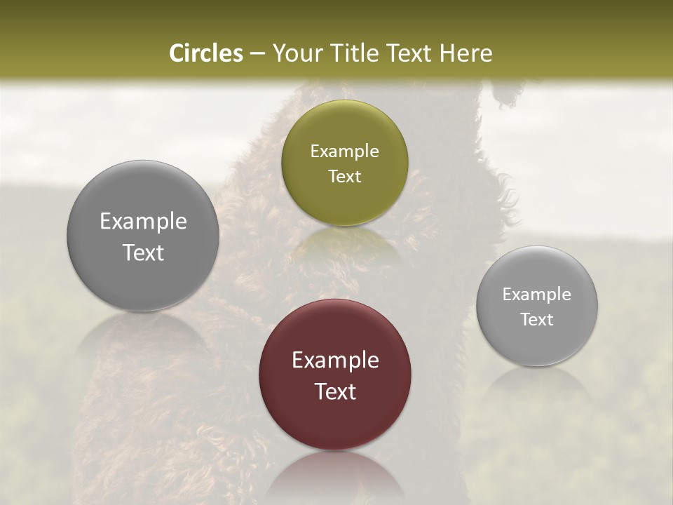 Model Park Grass PowerPoint Template