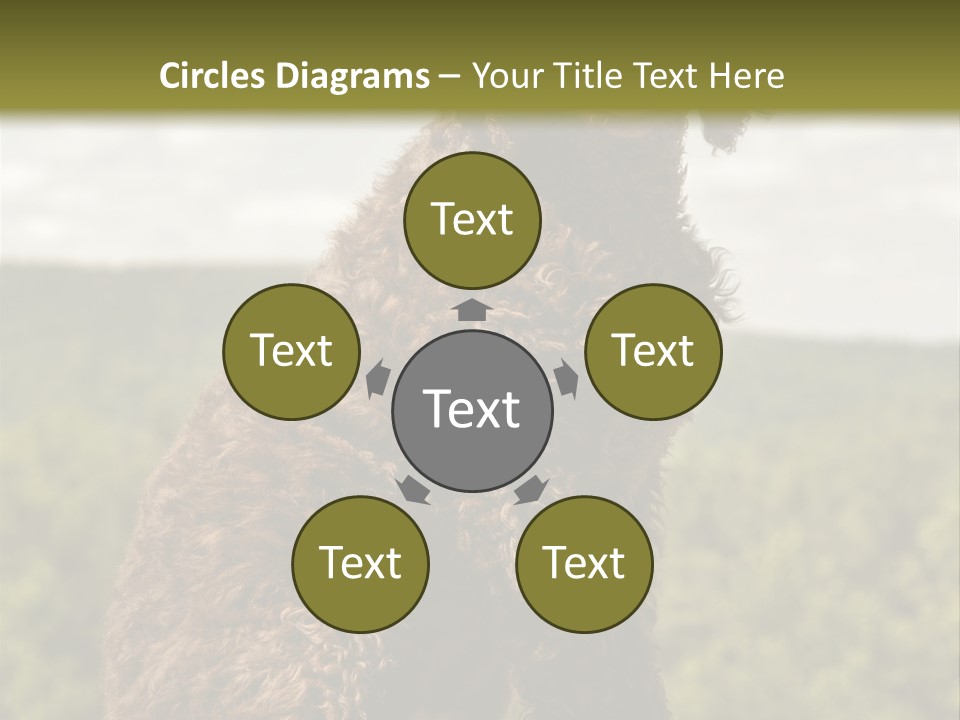 Model Park Grass PowerPoint Template